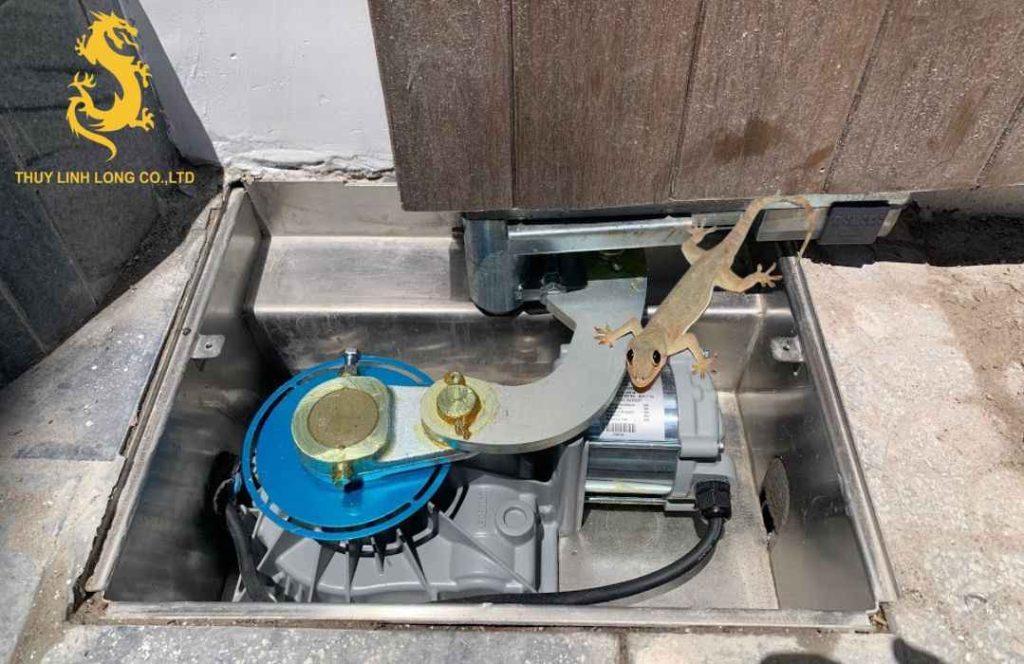 Nhận biết các dấu hiệu thằn lằn bò vào cổng tự động