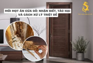 Mối mọt ăn cửa gỗ