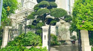 Có nhiều cách hóa giải cây to trước cửa nhà