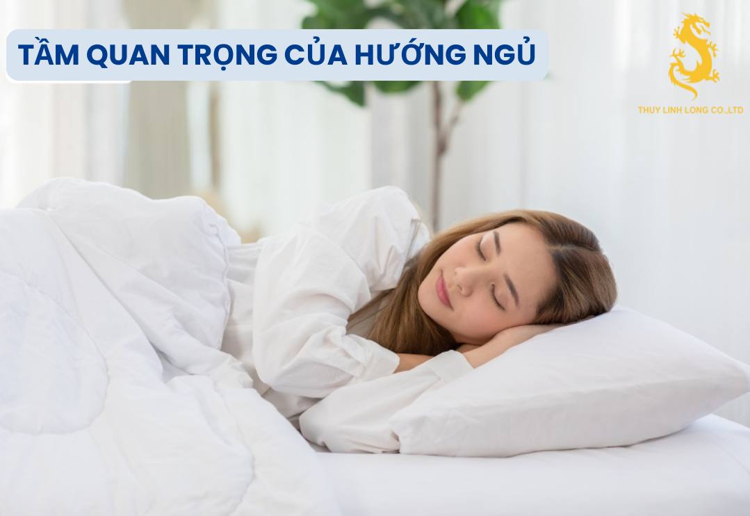 Hướng ngủ có vai trò quan trọng đối với giấc ngủ, sức khỏe và vận may