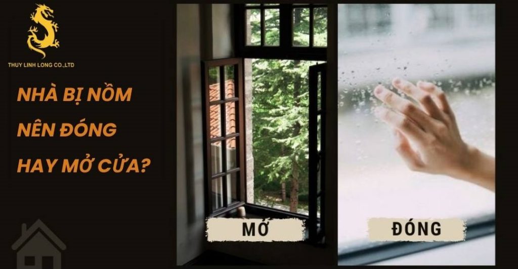 Giải đáp chi tiết: “Nhà bị nồm nên đóng hay mở cửa?”